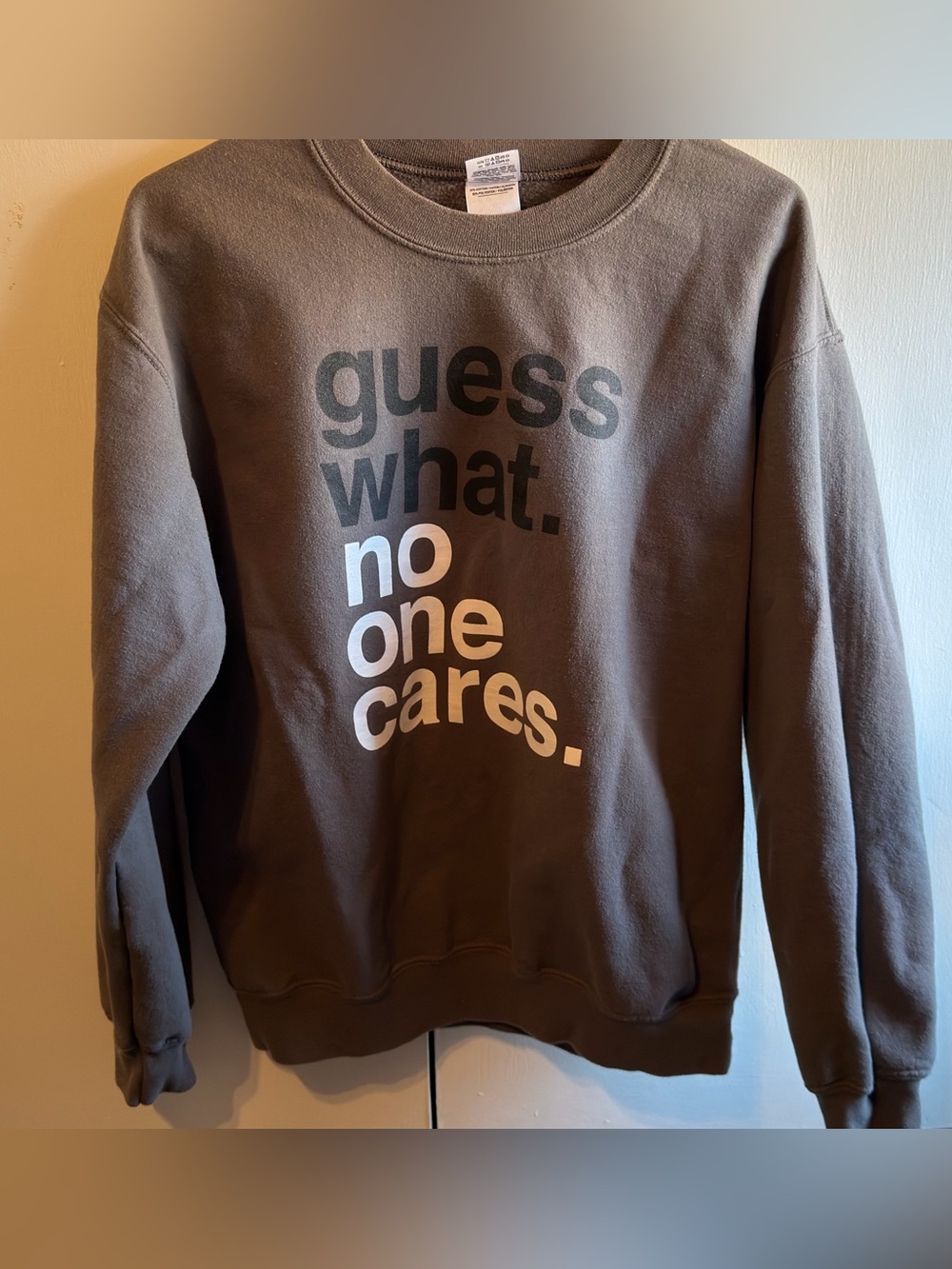 Guess What? No one cares grey Crewneck Sweatshirt with Black and White Text
